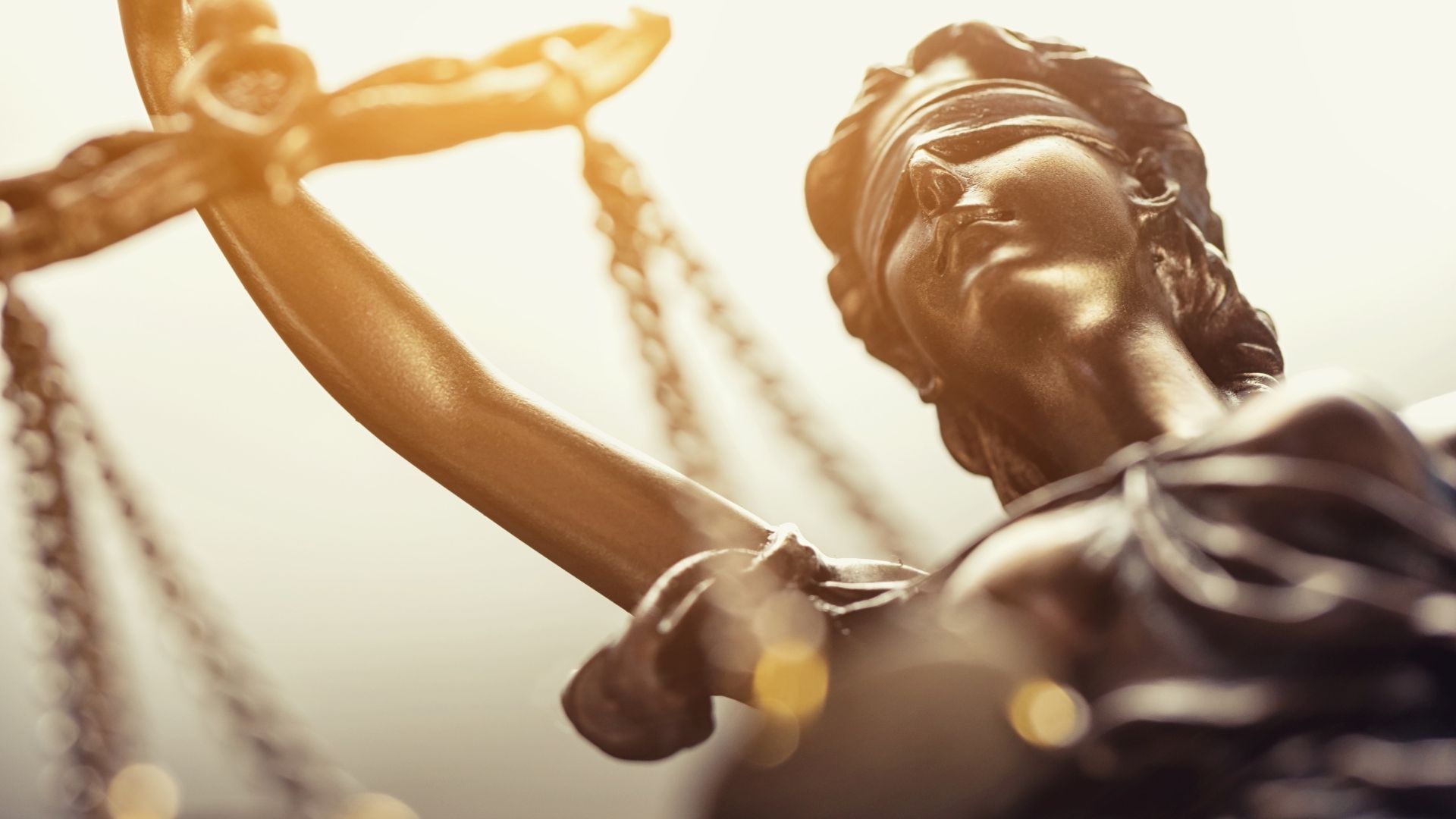 בעז סגל משפטים